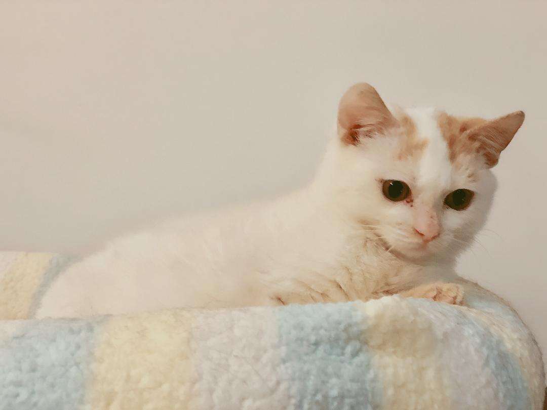 你醒醒抖音,你醒醒完整版视频