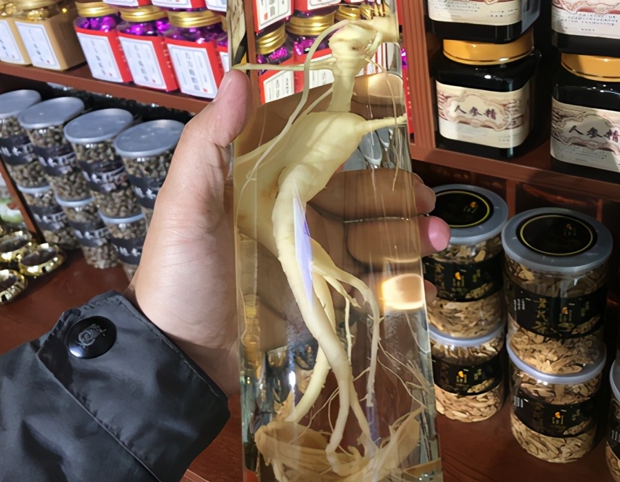 按照这5种方法选人参，十有八九选得好，经验之谈慢慢看