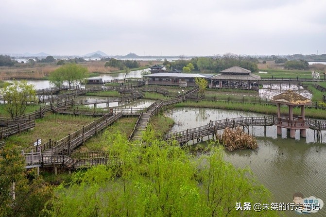 江南最大湿地风景区,不是西溪湿地,荣获中国最美湿地却少有人知
