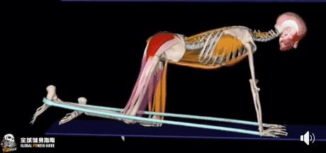 韩国美女体能训练师,韩国女私教