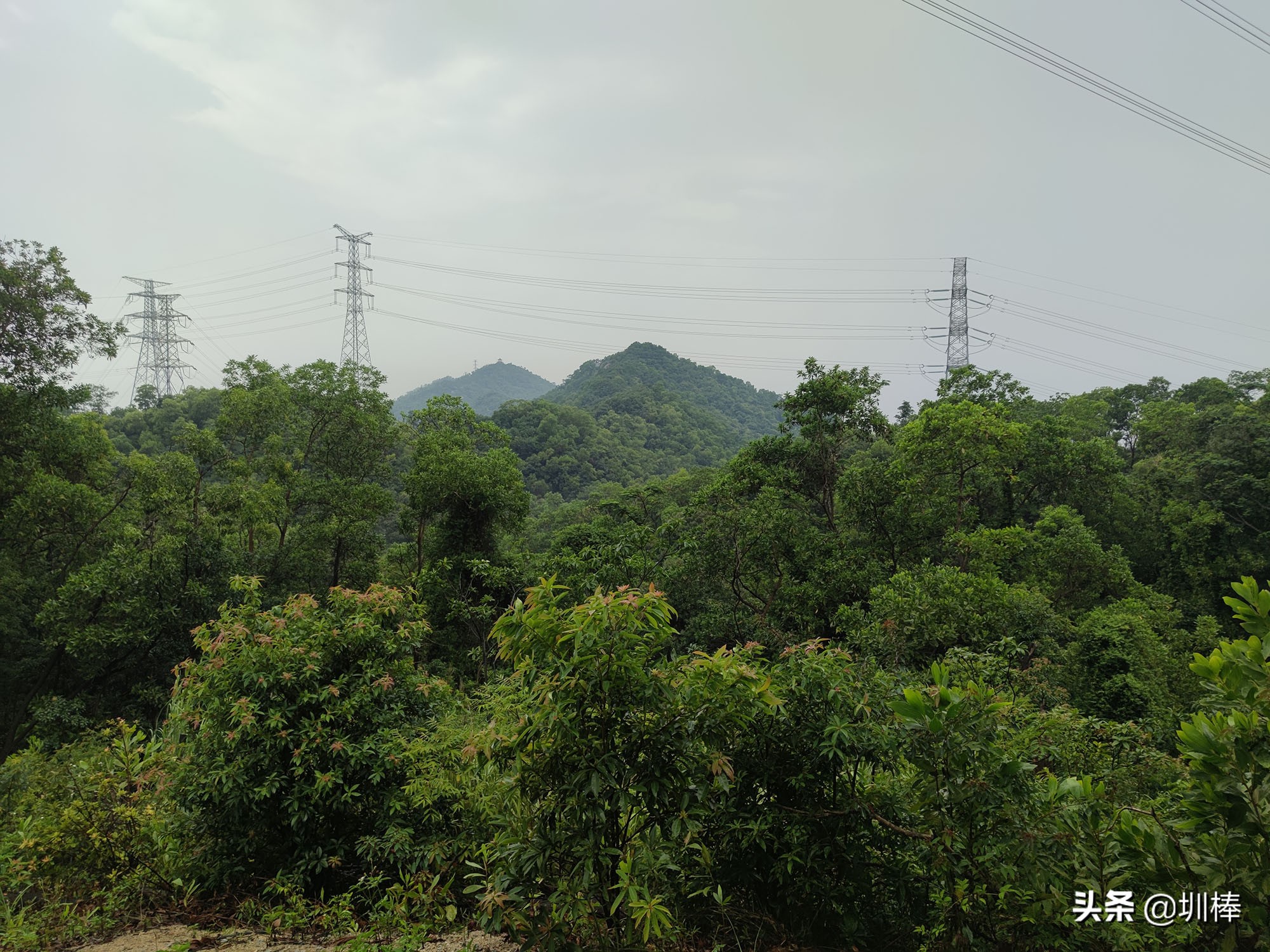 深圳最长的海岸线爬山攻略,凤凰山适合老人孩子的爬山攻略