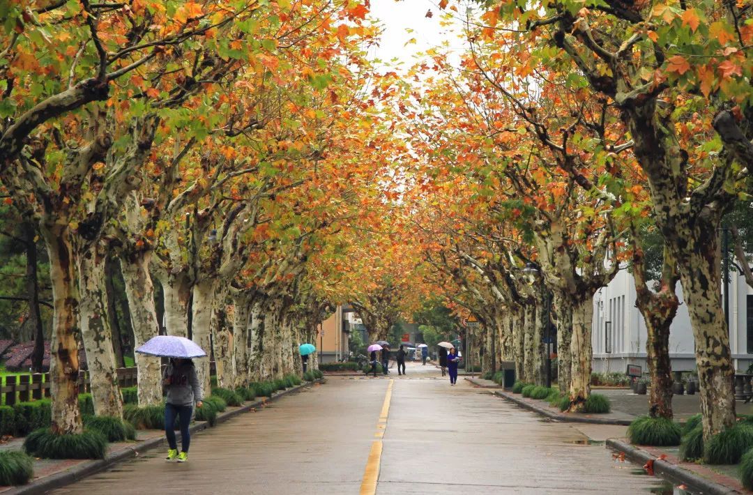 山东大学女子被歧视,山东女大学生被嘲笑