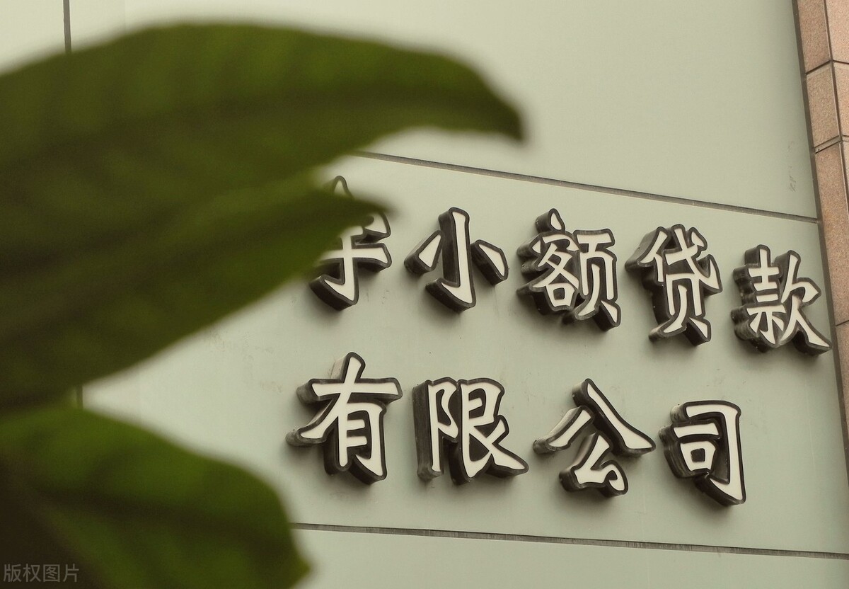 深圳的小额贷款公司真能贷吗,深圳小额贷款公司有多少家