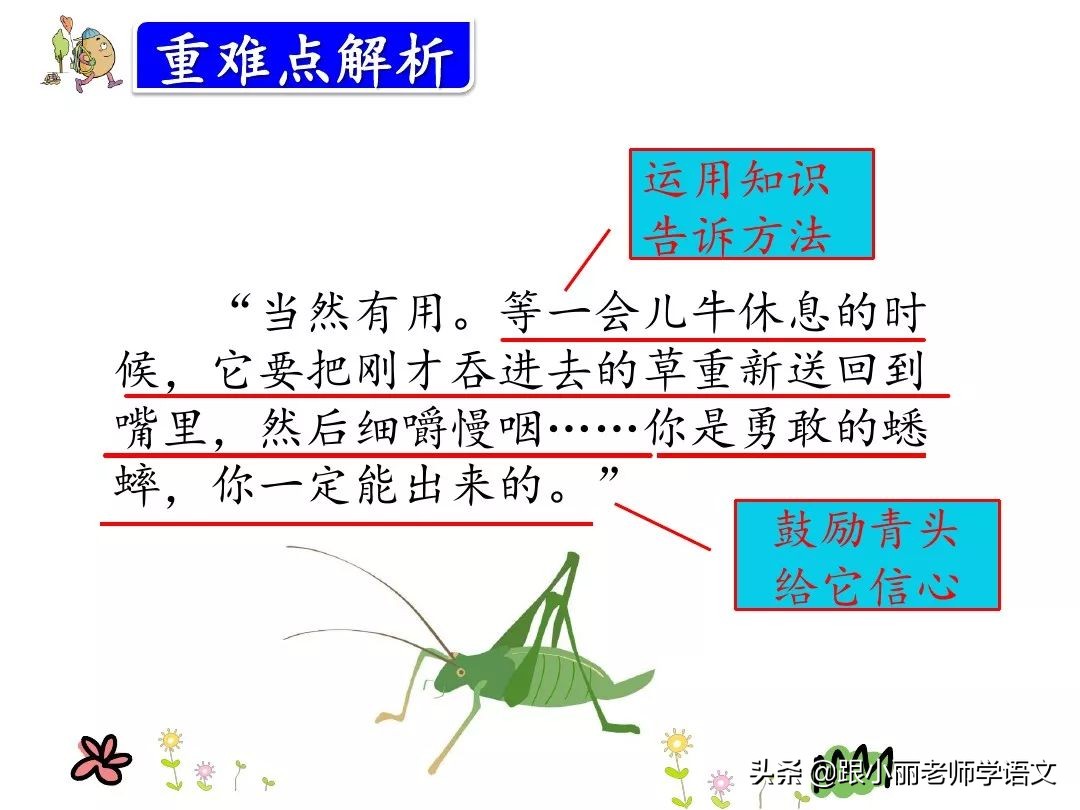 三年级在牛肚子里旅行的中心思想,三上语文在牛肚子里旅行课文讲解