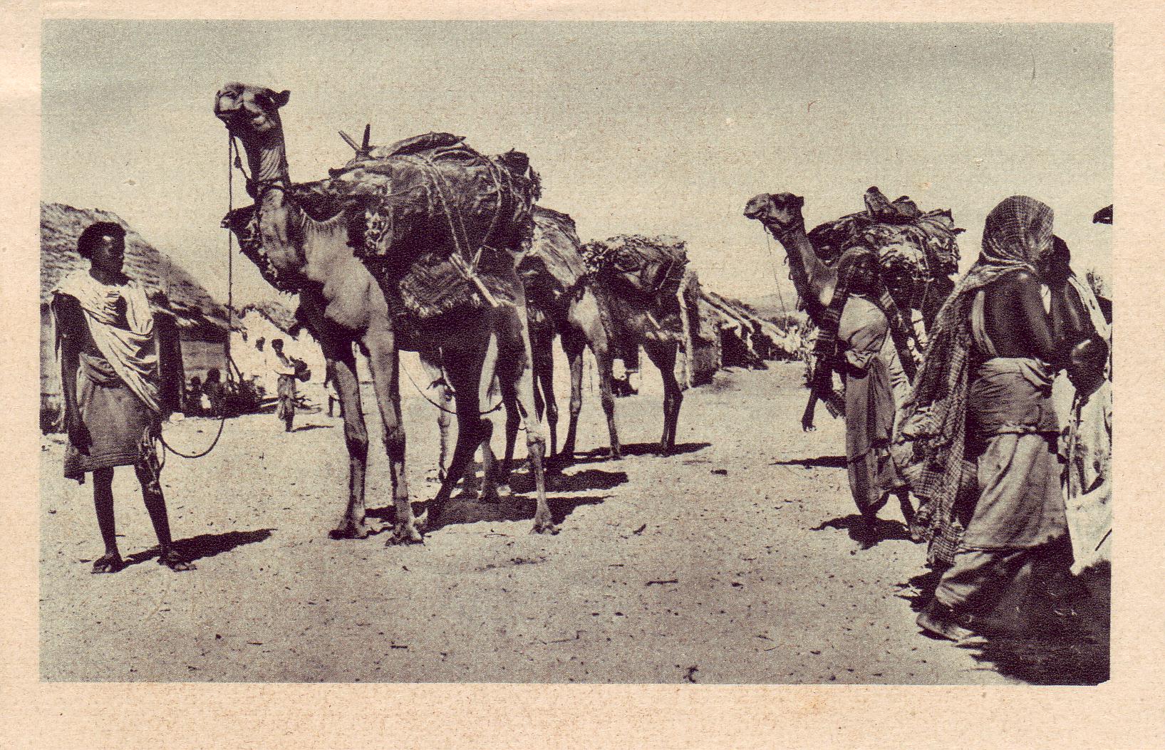 “疯狂的毛拉”之问:索马里乱局,是谁的错?