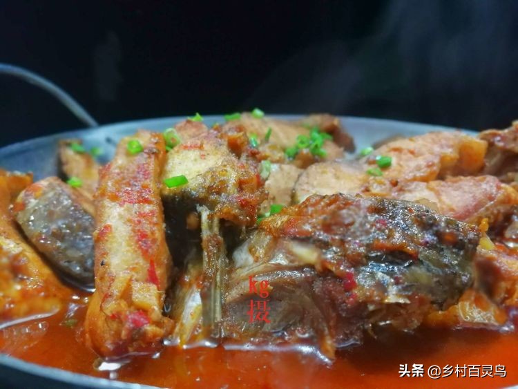 舌尖上的家常菜鱼,舌尖上的味道百吃不腻完整版