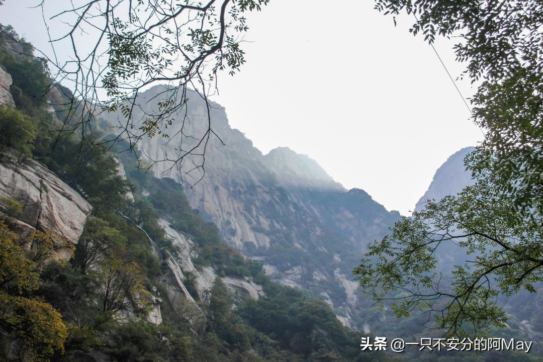 为什么爬华山都是夜爬,华山自古一条道很有必要爬吗