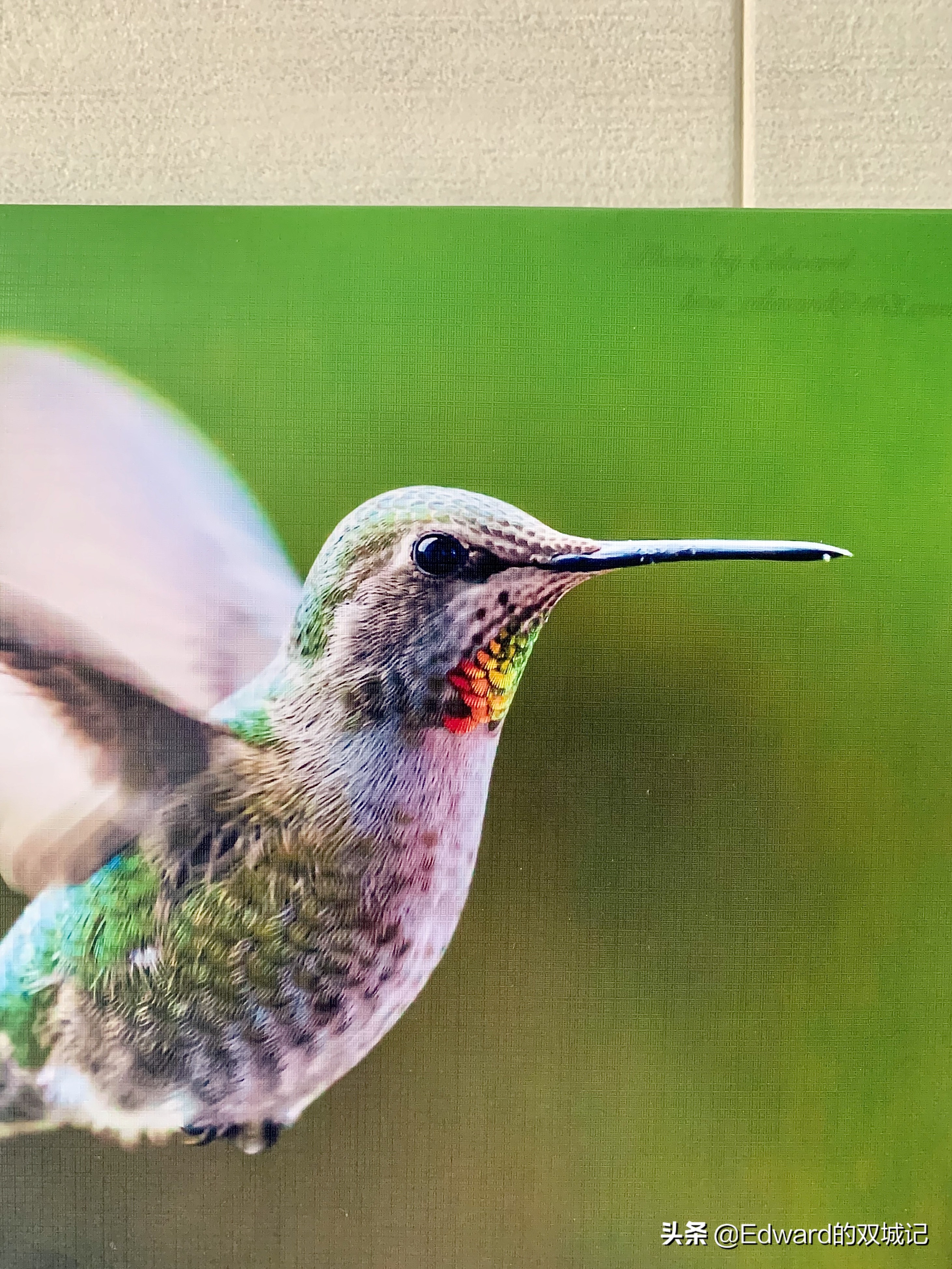 自由摄影师摆摊需要些什么,摄影摆摊怎么入行