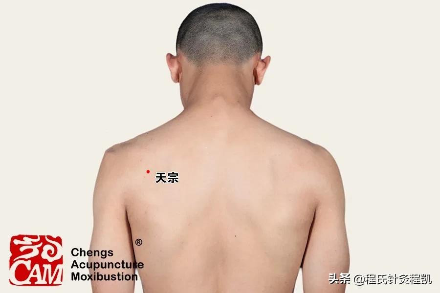 程凯养生说肺有结节怎么调理,程凯养生说肺结节对应的穴位