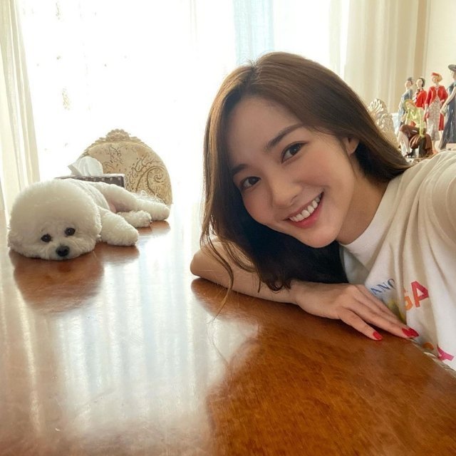 韩国明星的鼻子为什么那么自然,韩星鼻子的秘密