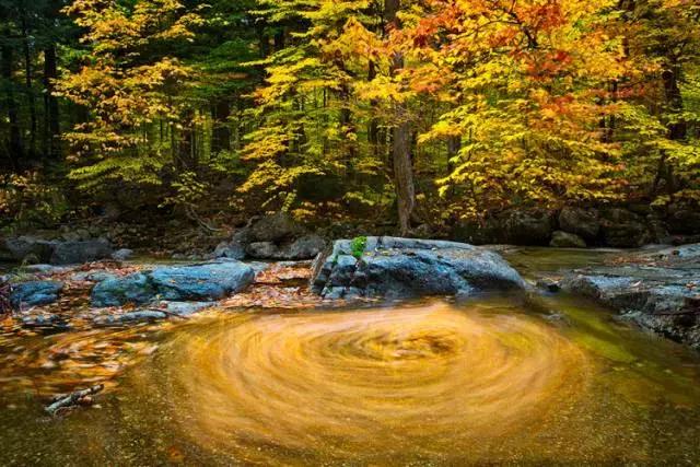 唐诗宋词描写秋天的景色,宋词里的秋天隽永绝美