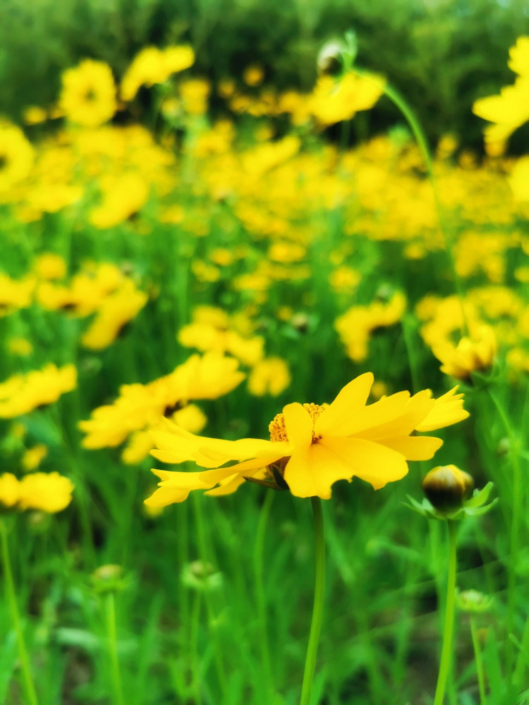 茅山宝盛园周边游玩,茅山宝盛园所有游乐设施