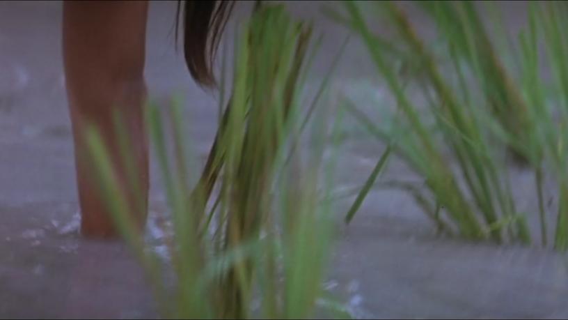 还原美军兽行的电影，越南女人活的毫无尊严，至今不敢看第二遍