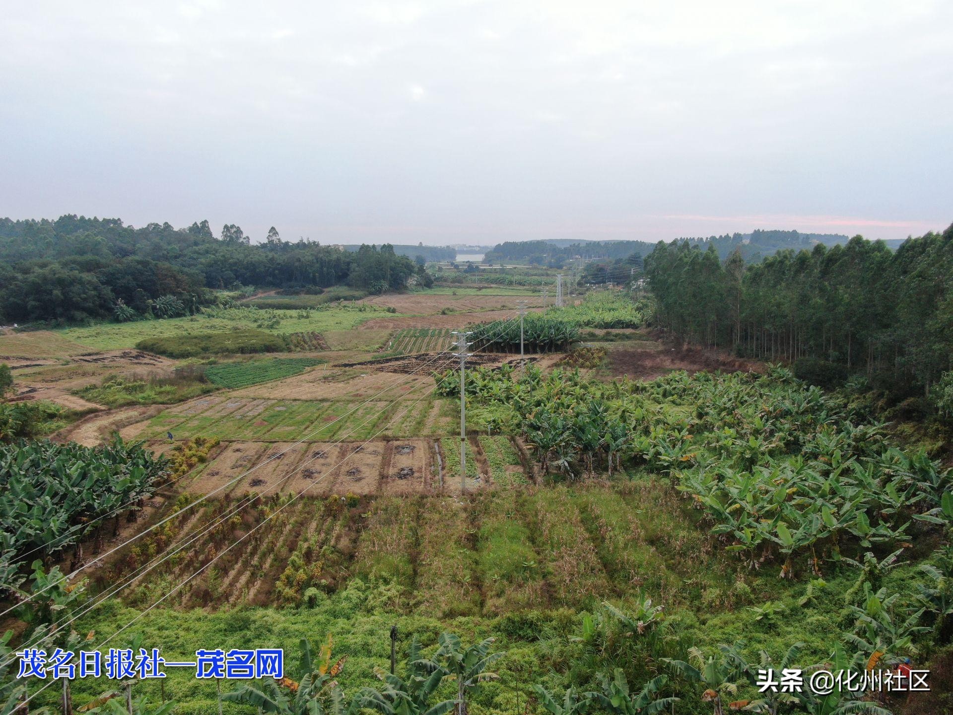化州供电局：笪桥镇再添输电“大动脉”10千伏山华线顺利投运