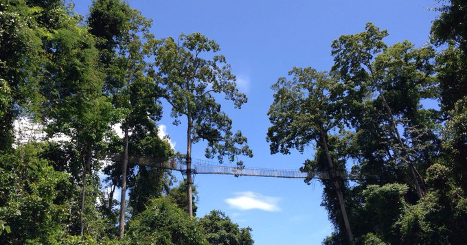 初到西双版纳,西双版纳吃住行玩攻略