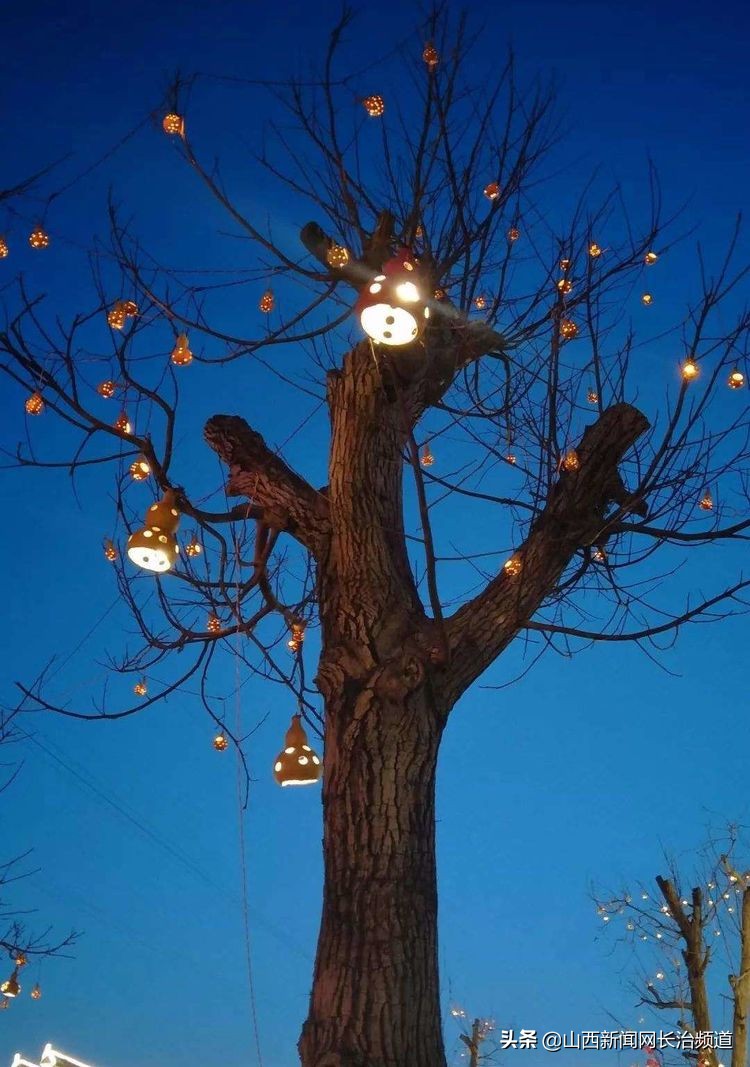 “我们身边的二青会”系列报道之五：看精彩赛事品屯留美食