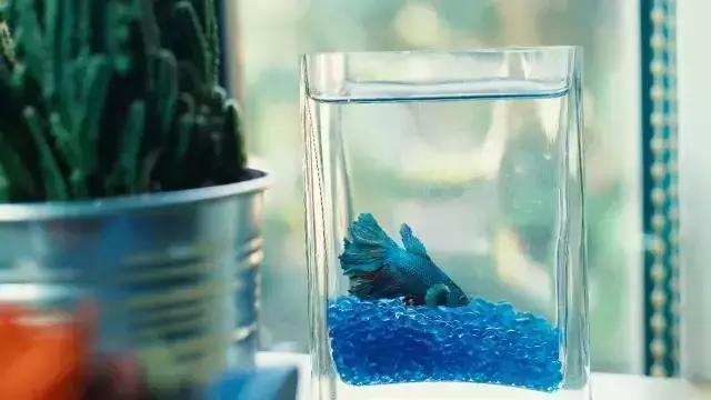 不想和男朋友的朋友合租,不想男朋友和别人合租