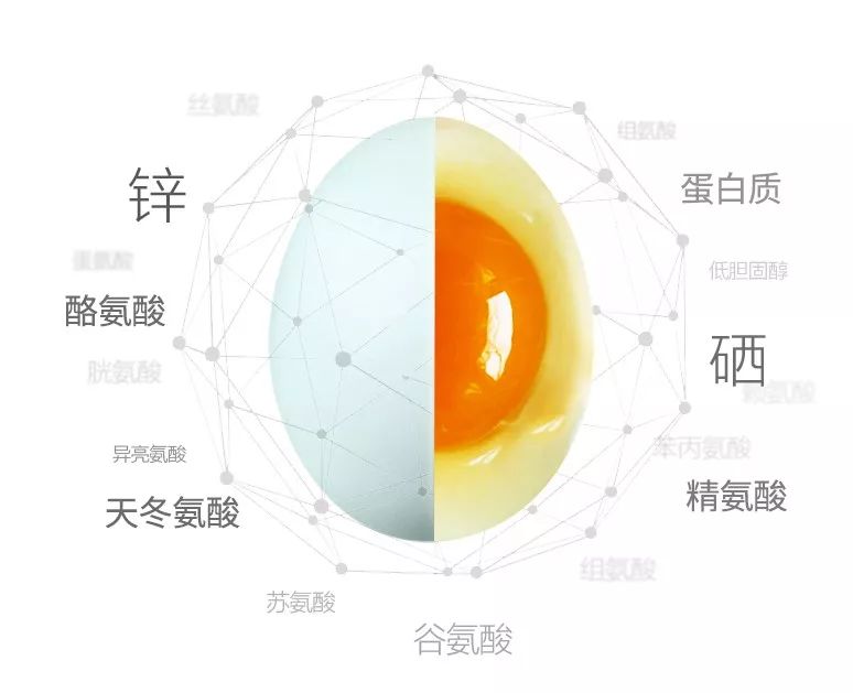 绿壳鸡蛋怎么吃最有营养,富硒绿壳鸡蛋的做法