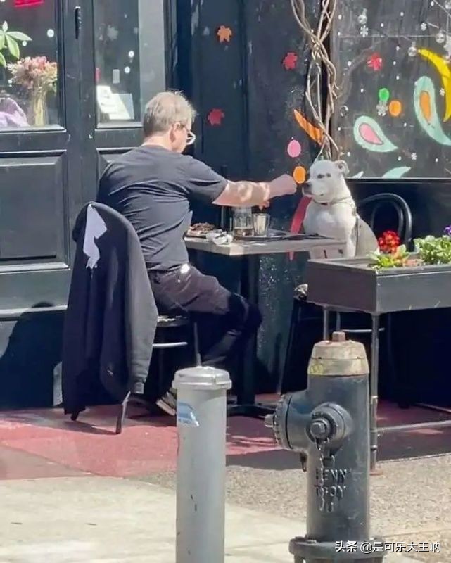 沙雕图片卖东西,沙雕图片震惊我一辈子