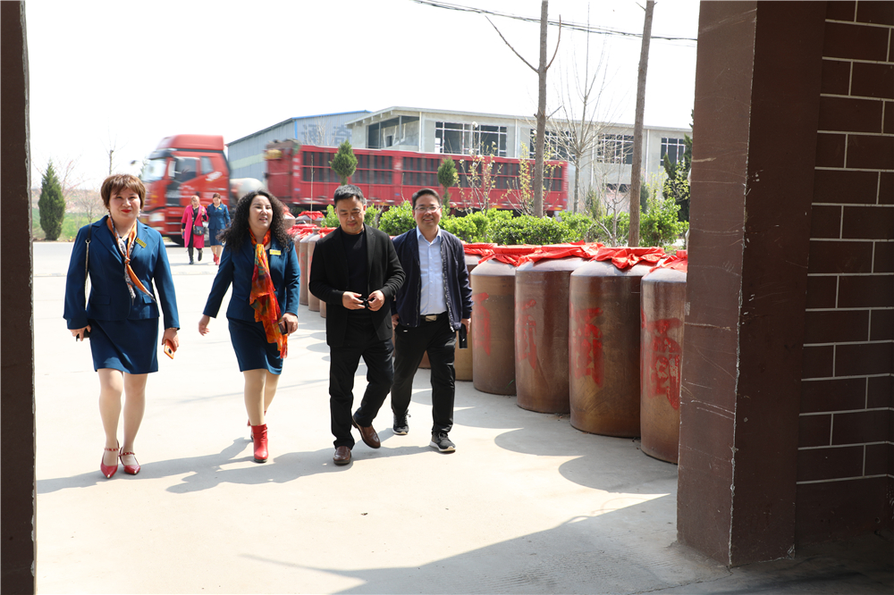 栽下梧桐树引进金凤凰,栽棵梧桐树引来金凤凰