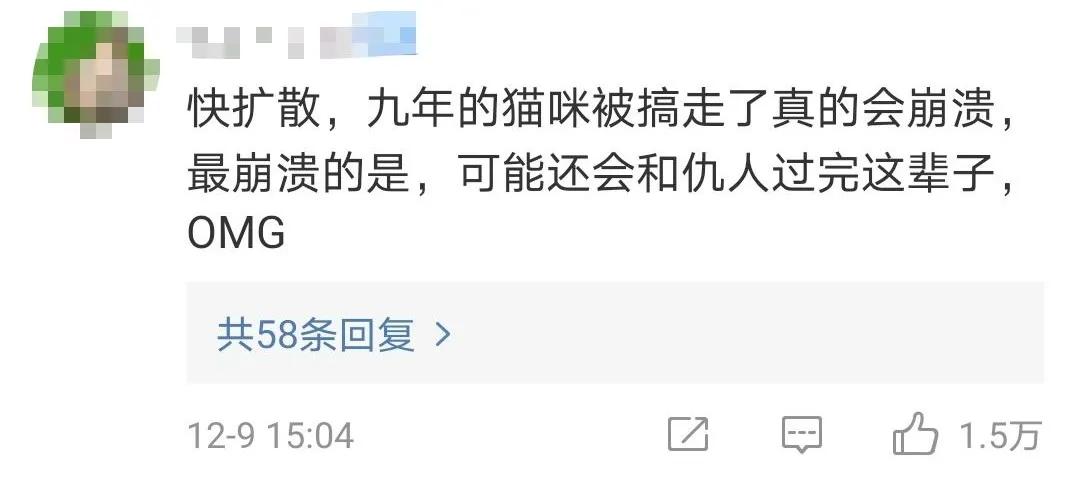 丢掉女朋友养了2年的猫,女朋友要求丢掉养了3年的猫