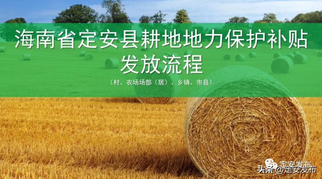 耕地地力保护补贴信息填写,乡镇耕地地力保护补贴新闻报道