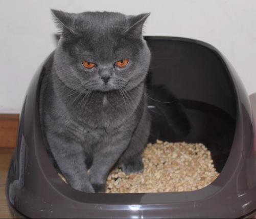 鍏荤尗濂界墿鍒嗕韩618鍥よ繖浜涘氨澶熷暒,鍏荤尗蹇呭洡濂界墿