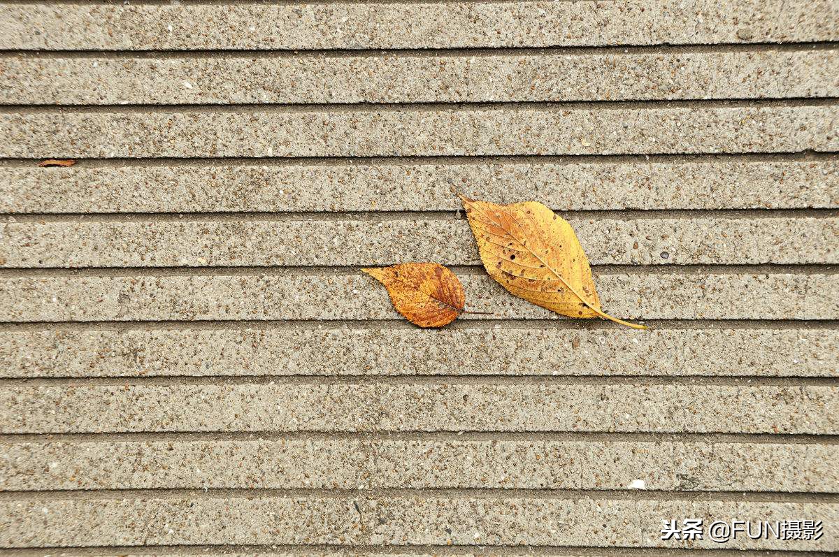 摄影技巧入门第十六课,摄影构图基础知识入门教程视频