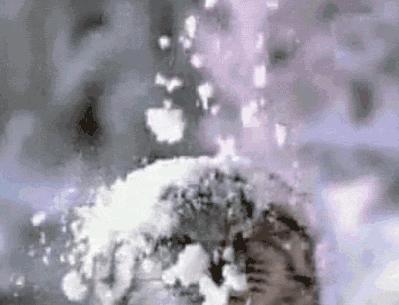 玉田雪化了吗,雪后有什么变化