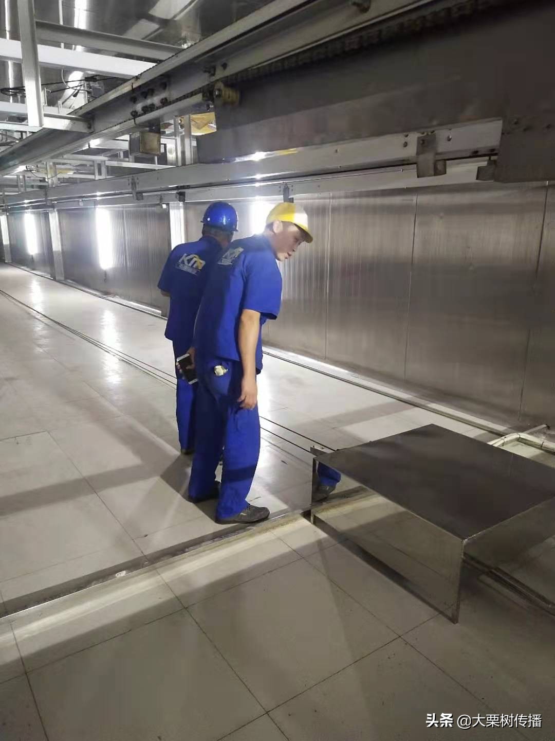 不做井底之蛙要做勇敢之蛙,不做井底之蛙要做举世鲲鹏