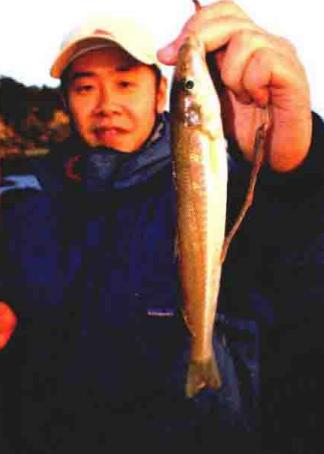 「日本专业海钓入门投钓书籍」熟练钓友投钓钓点海礁