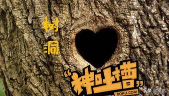 适合大学生的靠谱的网上兼职,网上有什么特别靠谱的兼职吗