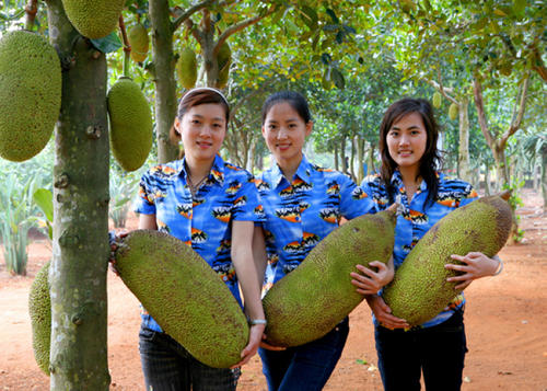 春天到了该吃的绿色食品,春季舌尖上的食物
