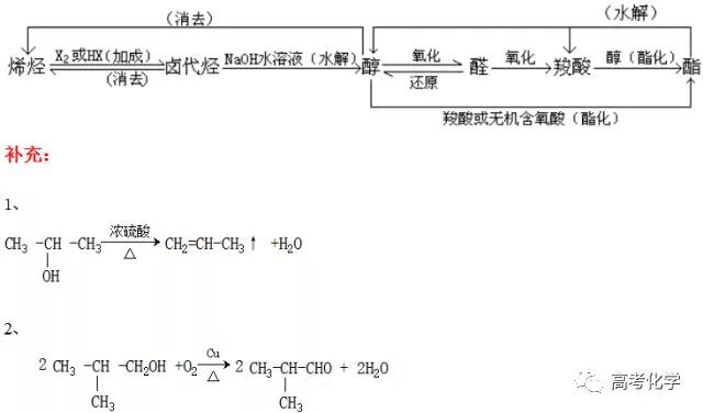 高一化学易错知识点,九上化学易错知识点