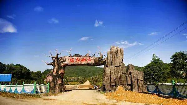 非物质文化遗产南庙武术,中国武术之乡十大排名