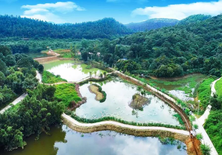 云浮威尼斯水城,云浮新兴水上威尼斯