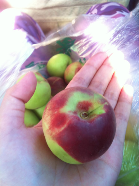 青甘大环线几月份去比较好,甘青大环线旅游跟团游旅行社报价