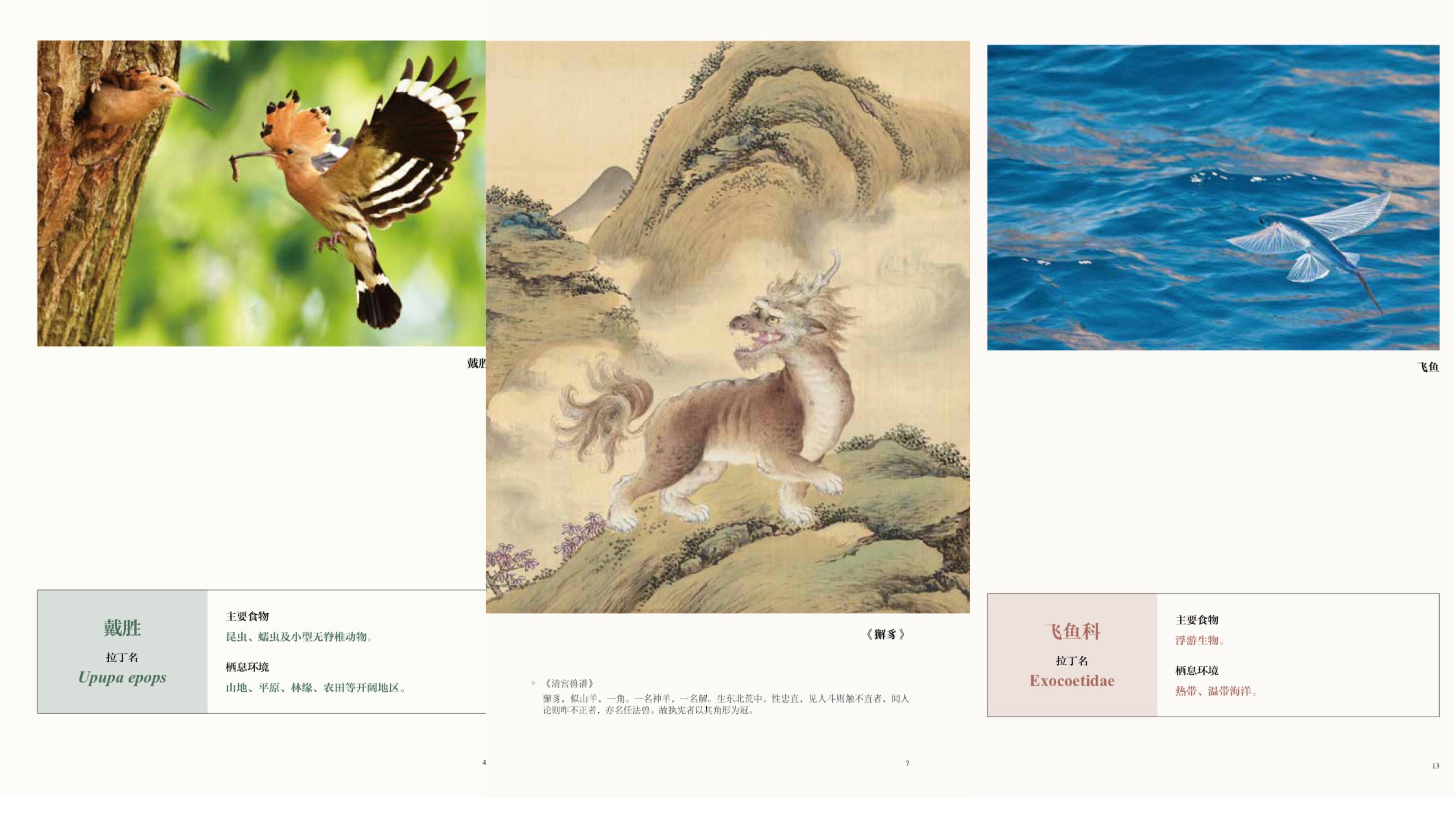 小学生发现11枚恐龙蛋化石,十岁男孩发现恐龙蛋化石