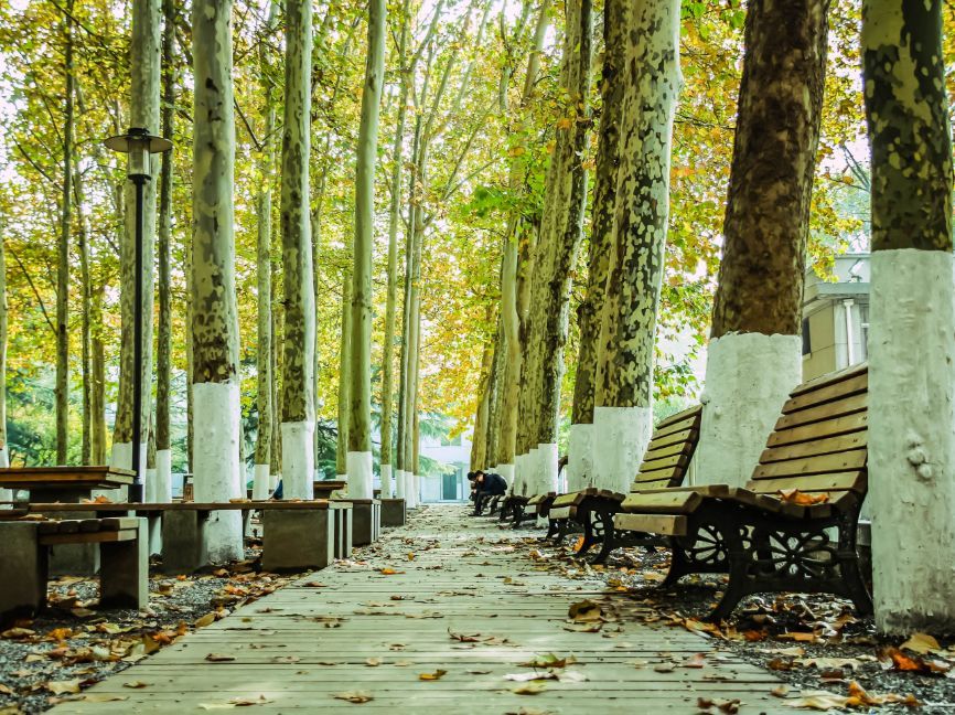 山东省最好的大学宿舍,山东大学青岛校区宿舍条件怎么样