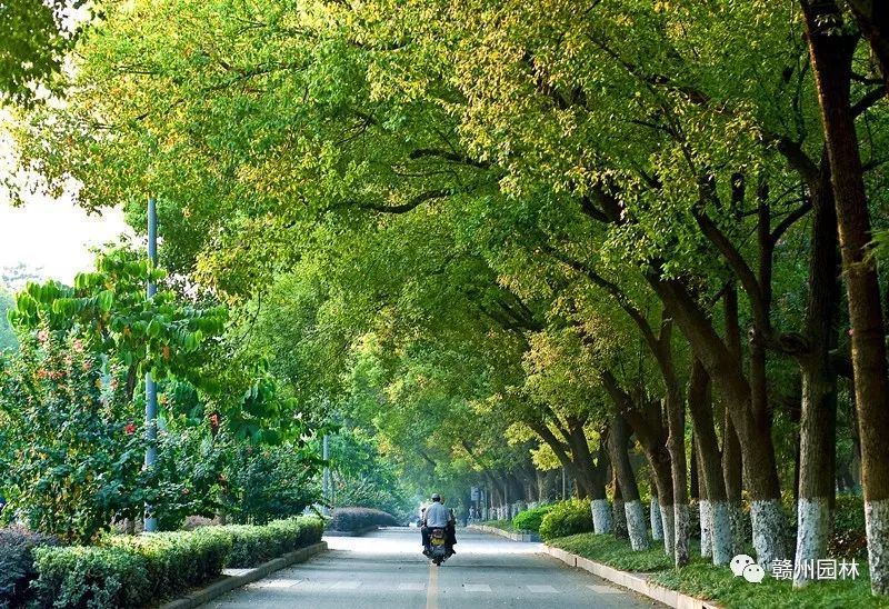 寻找最美公路,寻找最美风景的路上