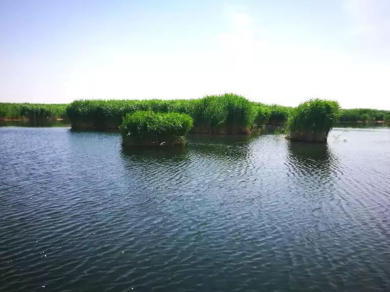 美不美看山水的视频,美不美看河水