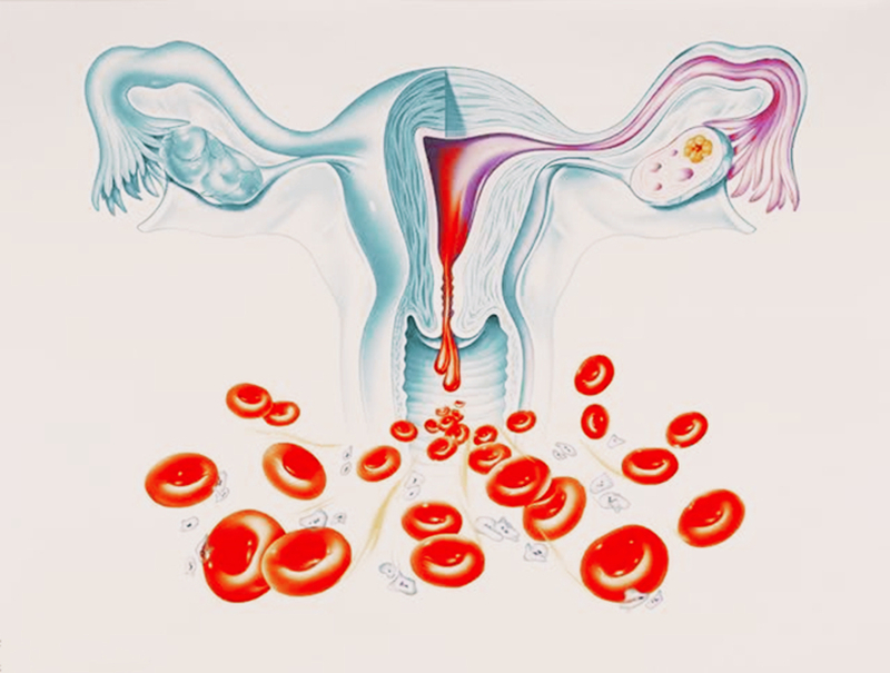 生理棉条与卫生巾的区别,女性用卫生巾好还是卫生棉条好