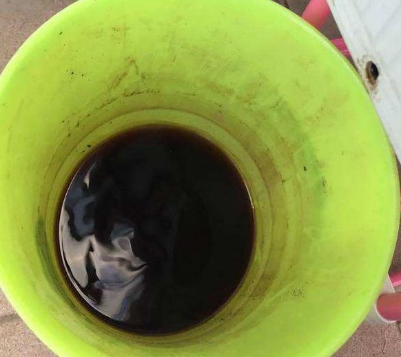 富贵竹越长越瘦,富贵竹越养越细