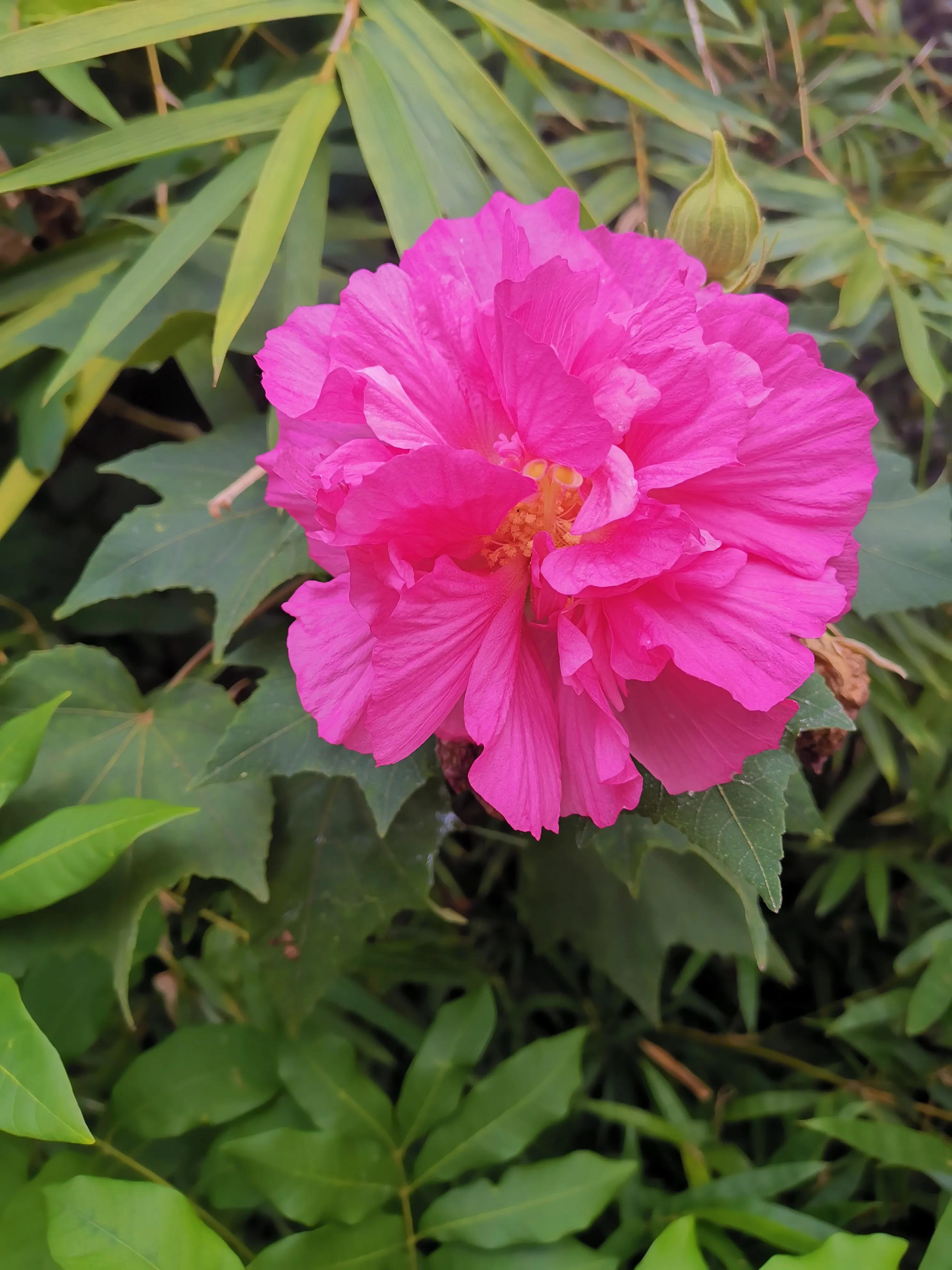 从《世界上最神奇的24堂课》中得到了什么?是震撼!(一)