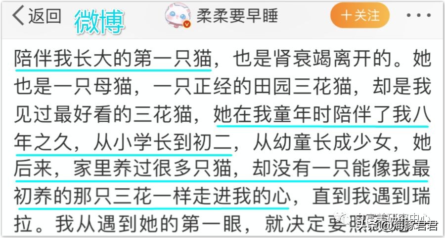 北京小公主靠吸猫血成百万大V，直播整容、大照骗、2年养死3只猫
