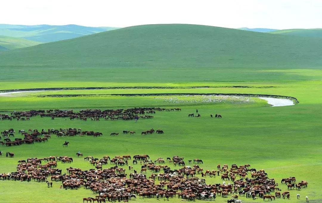 最新中国城市实力排行看完惊呆了,2019gdp城市全国排名