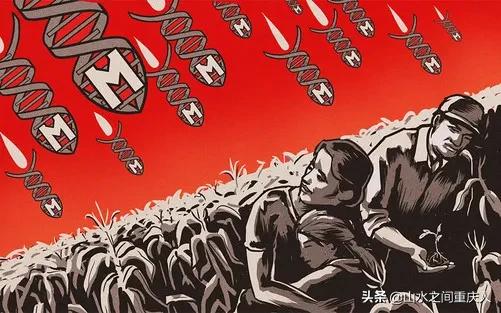 DDT、橙剂、转基因：生态环境摧毁者—孟山都