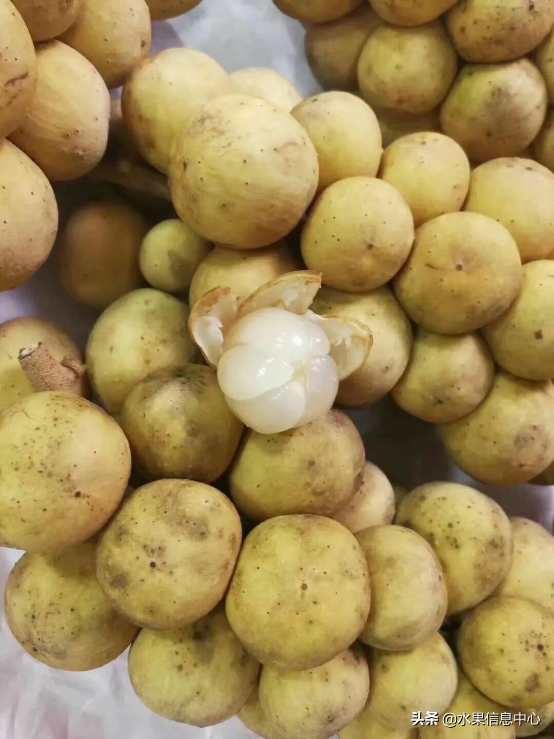 国内好吃的热带水果有哪些,小众水果推荐