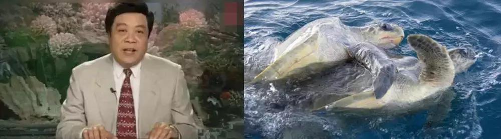 他送的情人节礼物，我居然过敏！