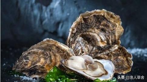 威海乳山牡蛎生蚝,乳山生蚝鲜活大牡蛎